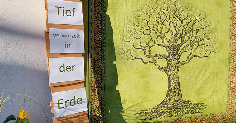 Geschichte 13